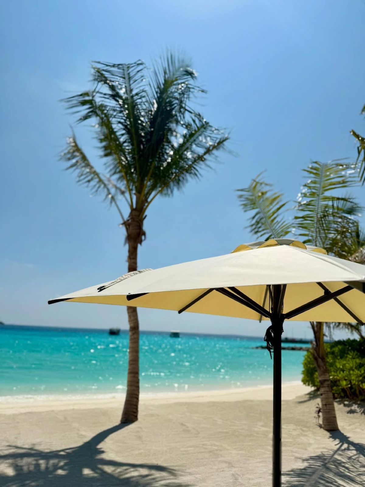 Η ανάρτηση της Μαρίας Αντωνά από το Μπαλί