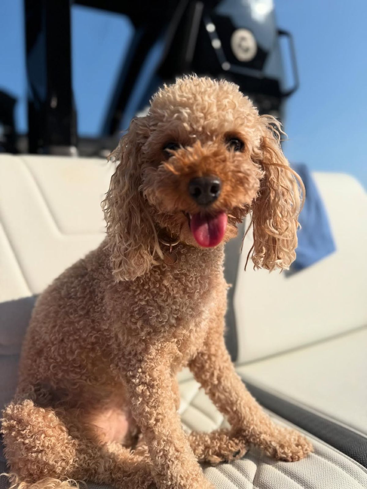 Η ανάρτηση της Μαρίας Αντωνά στο Instagram