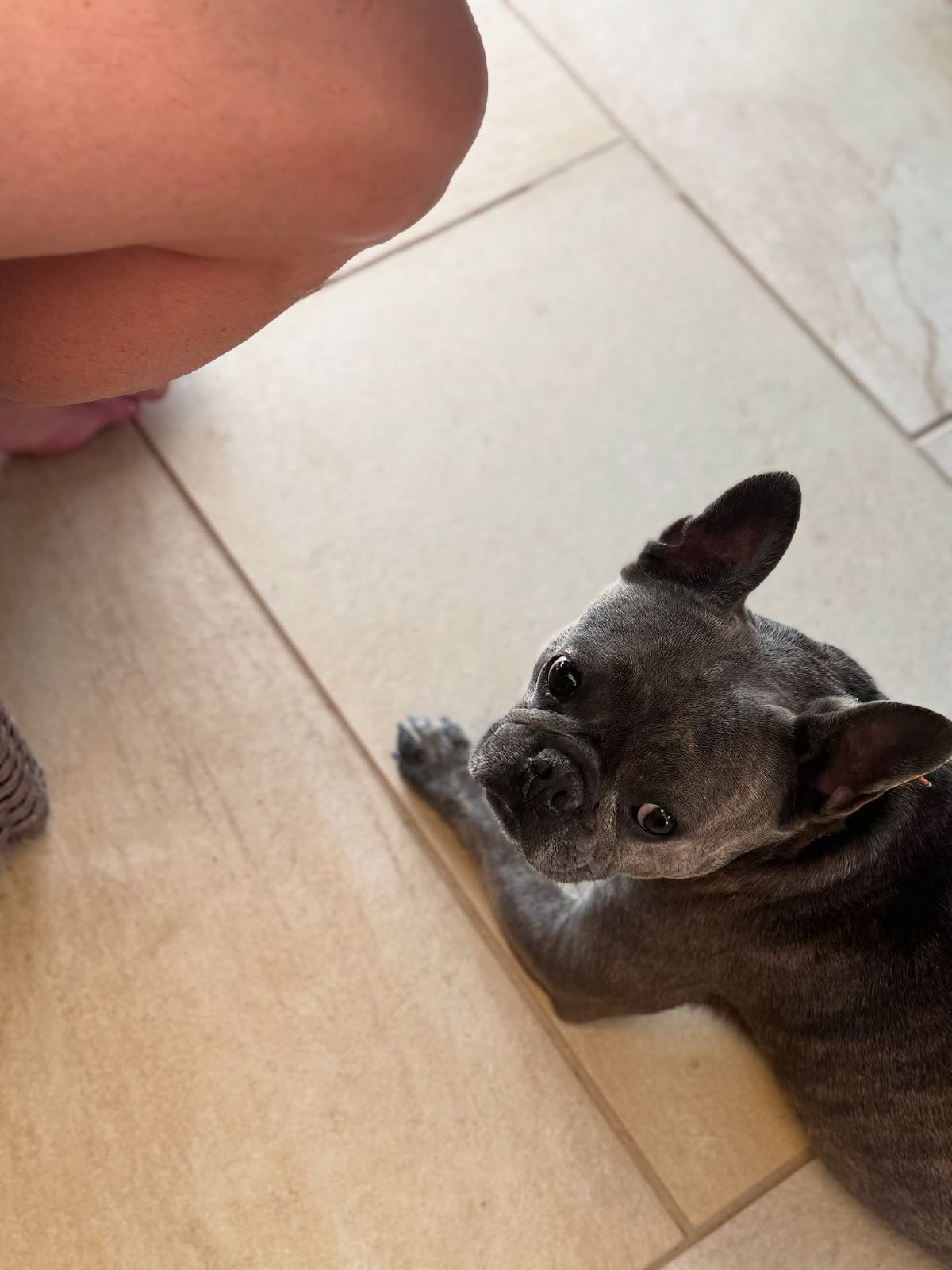 Δανάη Μπάρκα: Από την πισίνα στο σανίδι – Καλοκαιρινό διάλειμμα πριν την πρεμιέρα στο θέατρο (Φωτογραφίες)