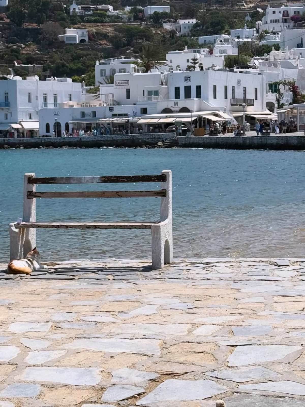 Νάνσυ Αντωνίου: Η τρυφερή ανάρτηση με τον Γρηγόρη Αρναούτογλου σε νησιώτικο ταβερνάκι