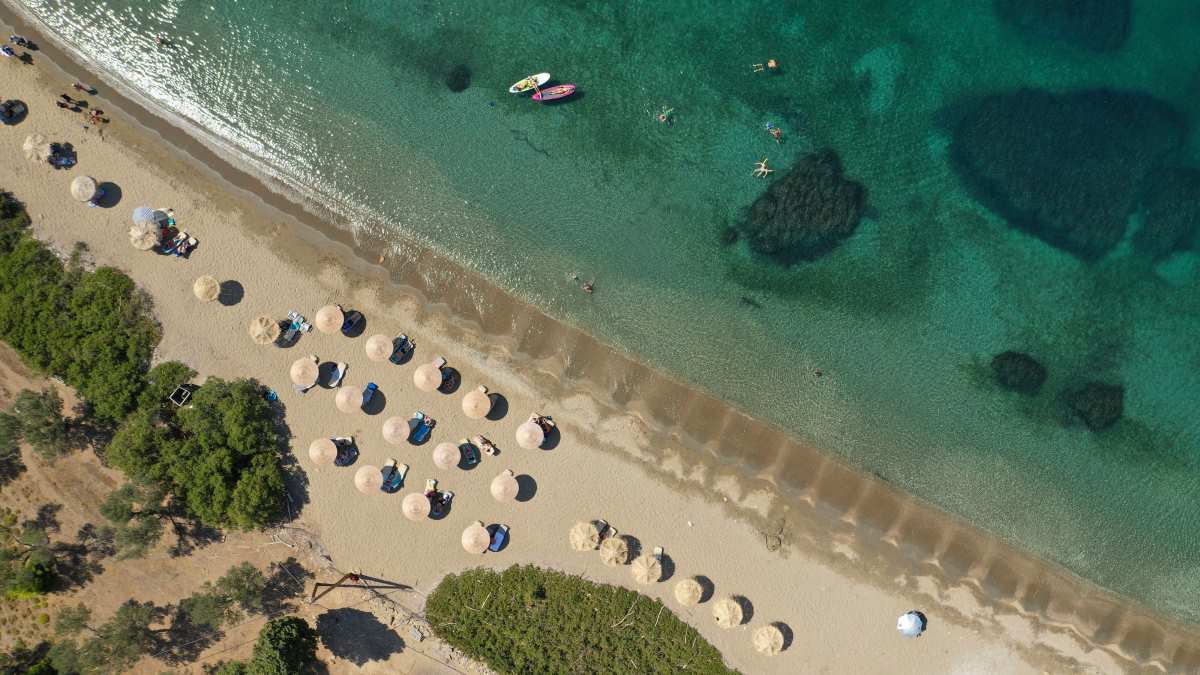 Πεύκος Σκύρος