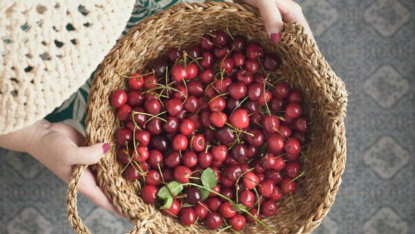 Καλάθι με κεράσια