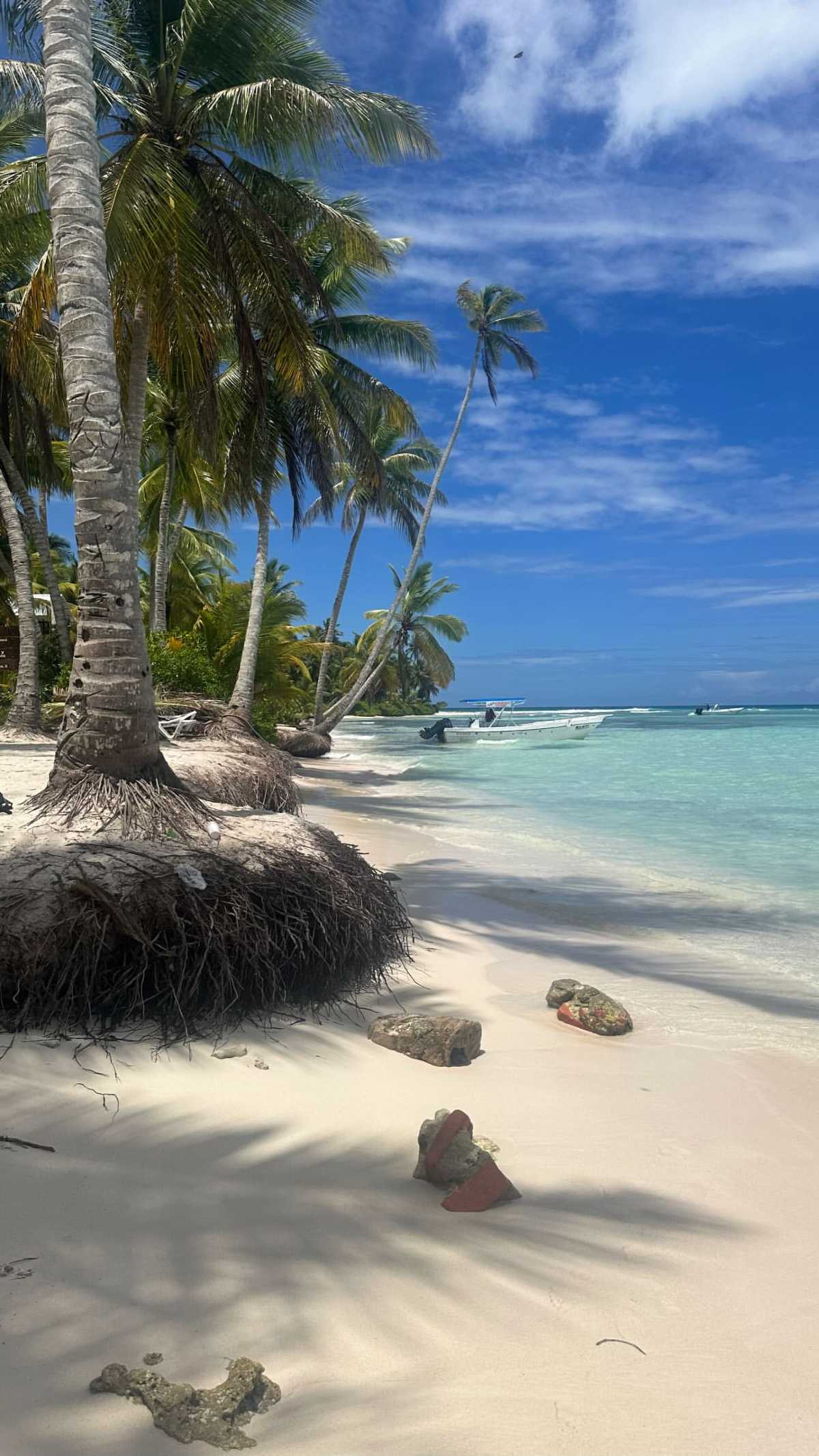 Αντελίνα Βαρθακούρη Καραϊβική