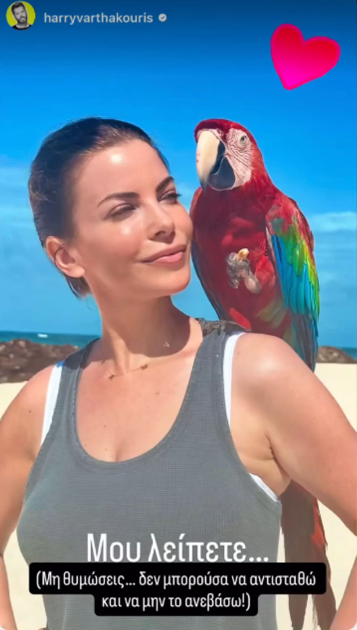 Αντελίνα Βαρθακούρη μαγιό