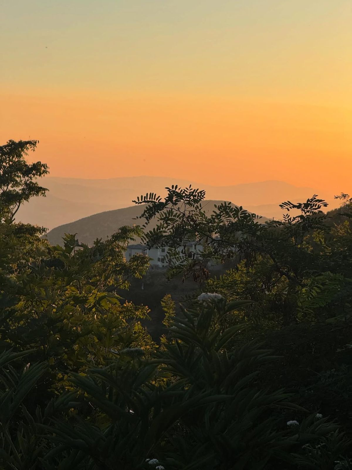 Η ανάρτηση που έκανε η Δήμητρα Παπαδοπούλου