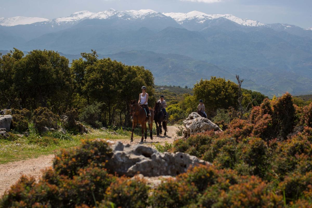 Ιππασία στα βουνά της Κρήτης