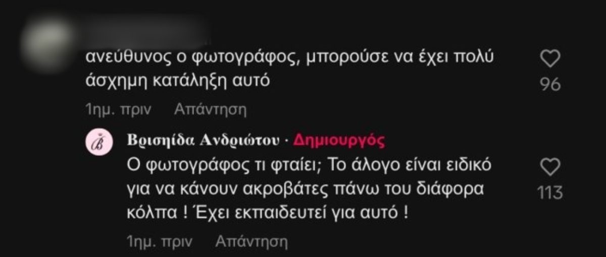 Το σχόλιο που δέχτηκε η Βρισηίδα Ανδριώτου και η απάντησή της