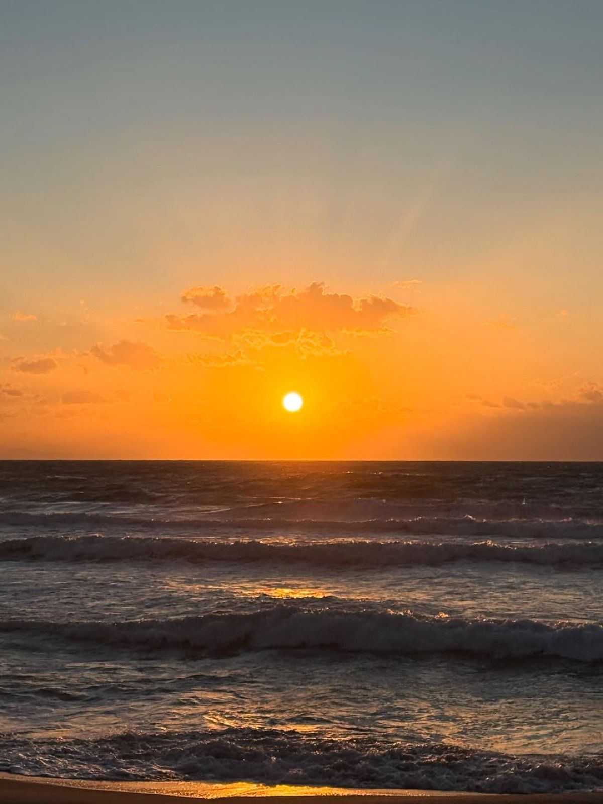 Η Άννα Πρέλεβιτς και ο Νικήτας Νομικός στη Σικελία