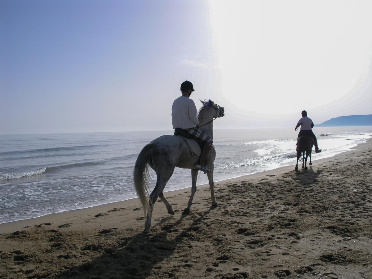 Ιππασία στη θάλασσα