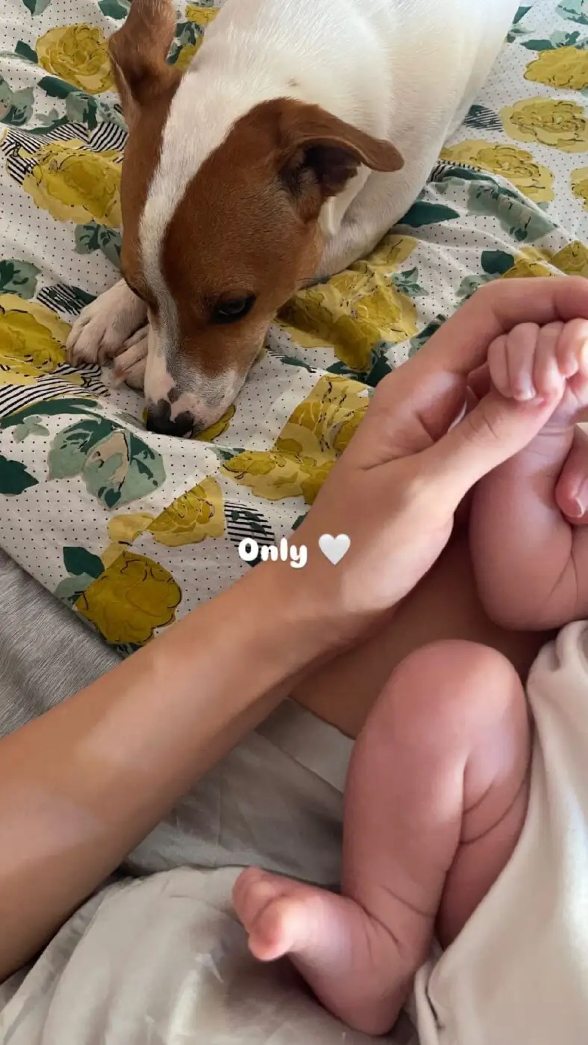 Το νεογέννητο μωρό της Ίλντα Κρόνι