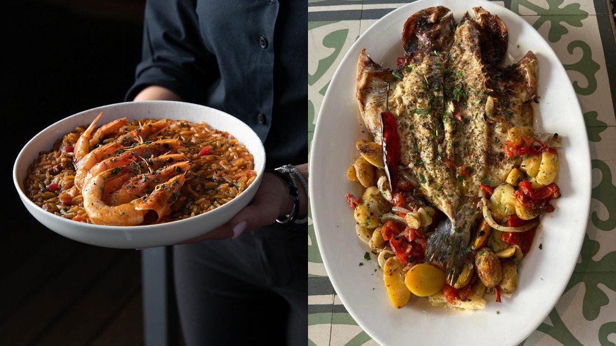 πιάτα του μαγαζιού ιωλκός