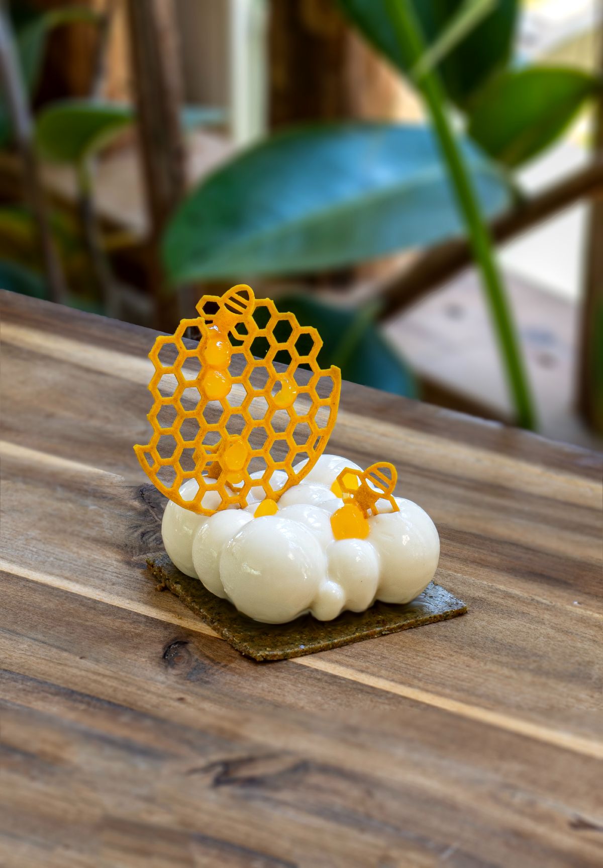 Kapadiko: Το νέο διαμάντι της γαστρονομικής σκηνής στην Κάλυμνο