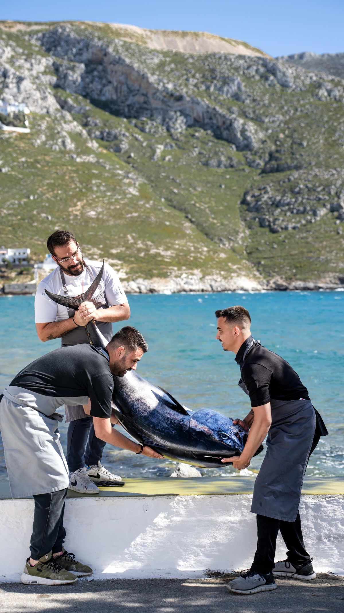 Εκλεκτά ψάρια και θαλασσινά