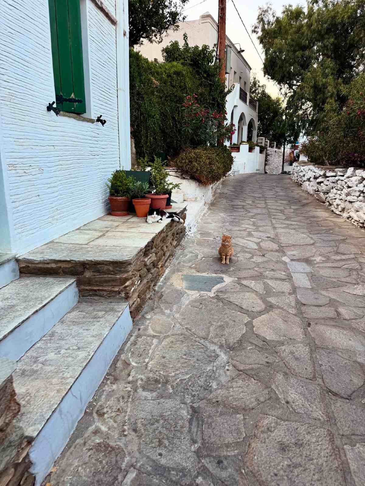 Λασκαράκη & Σουλτάτος: Τους κοιτούσαν όλοι στη Μύκονο - Η βραδινή τους έξοδος στα Ματογιάννια