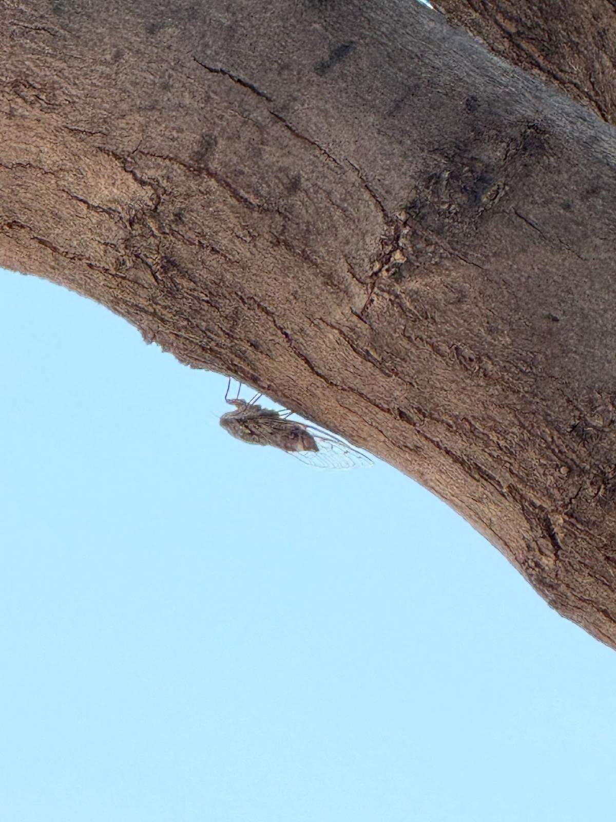 Μακρυπούλια – Μουτσινάς: Και φέτος μαζί στις καλοκαιρινές τους διακοπές (φωτογραφίες)