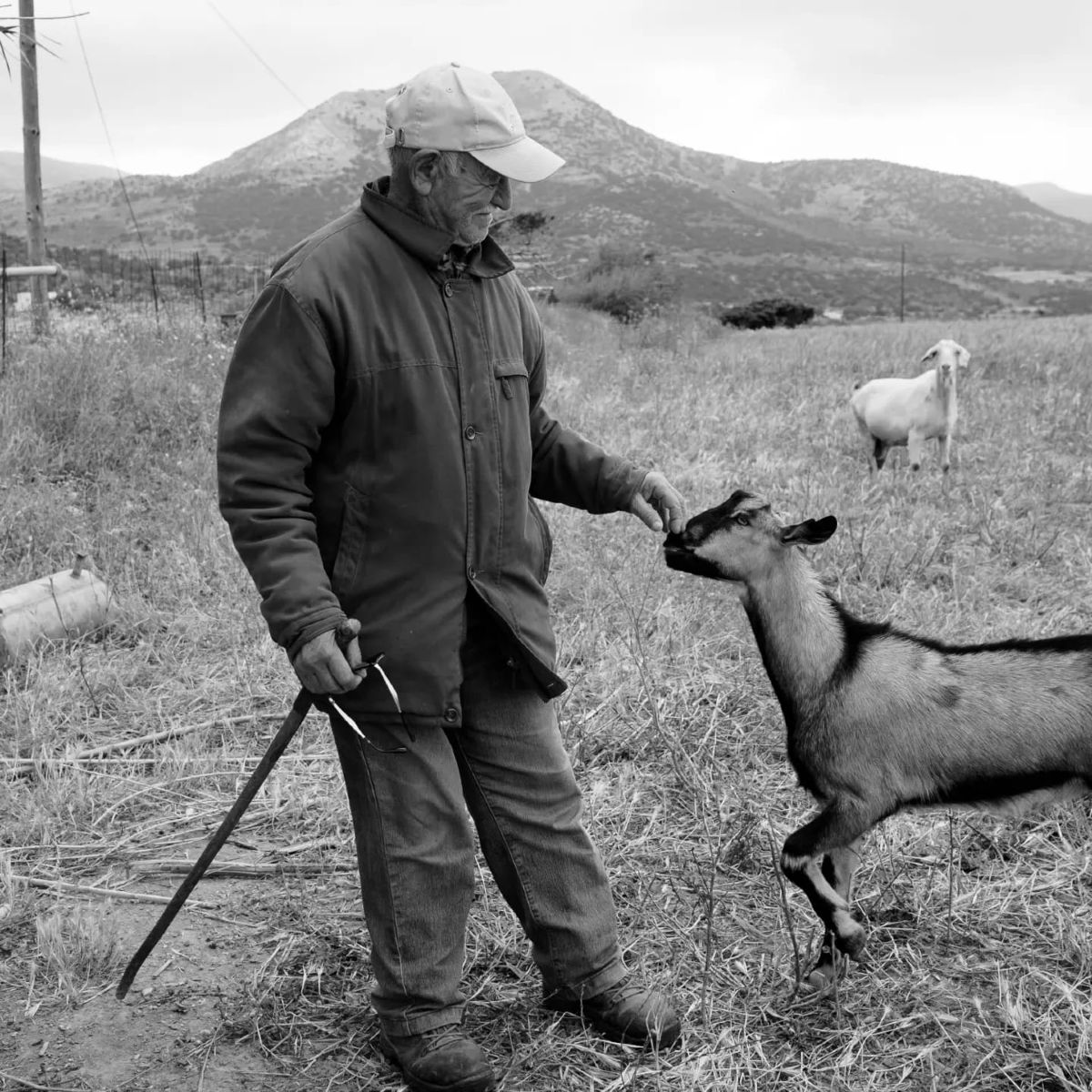 Η φάρμα έχει σήμερα περάσει στην τρίτη γενιά, συνεχίζοντας την αγάπη για την γη και την νοστιμιά