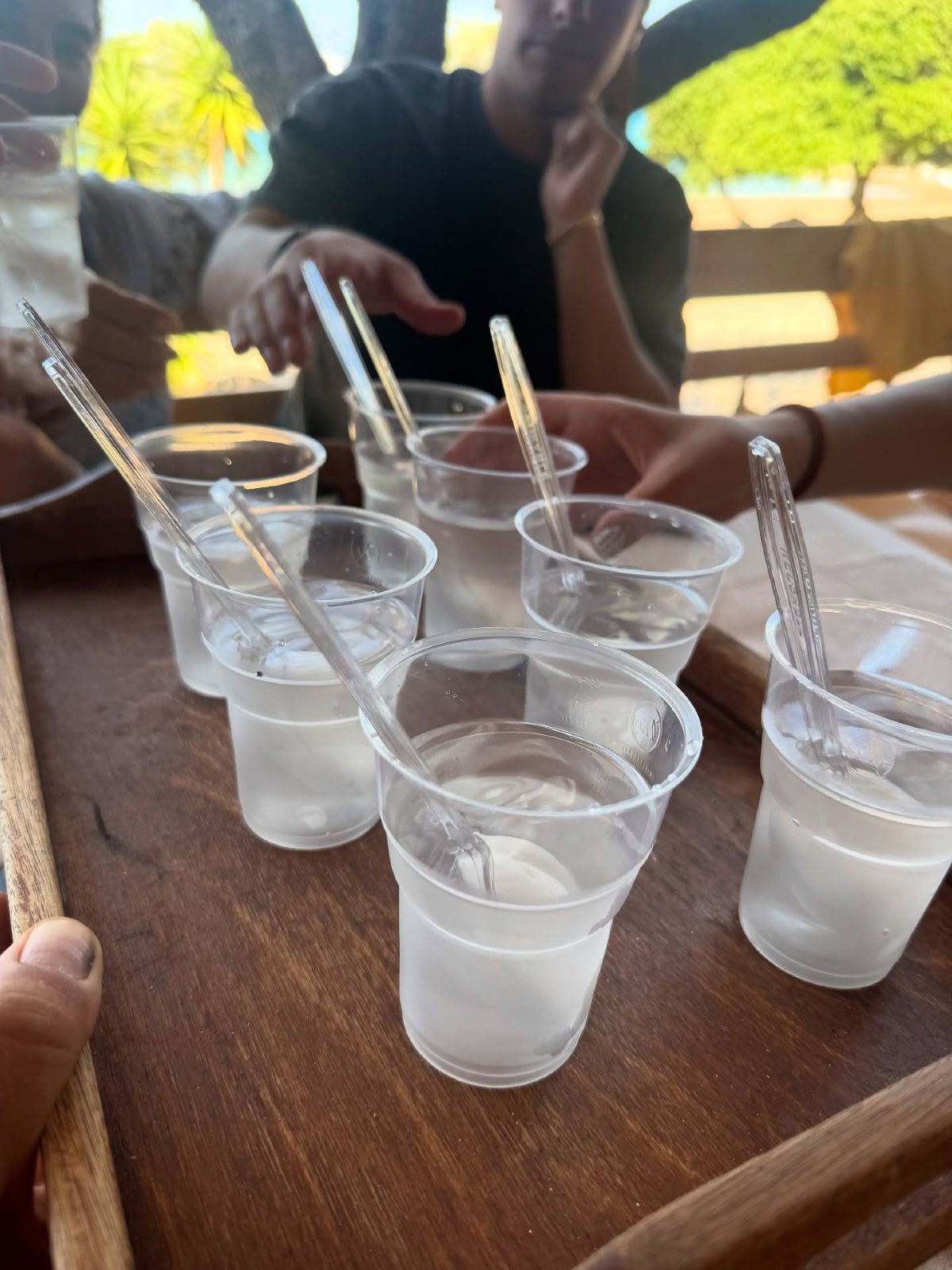 Η ανάρτηση της Δανάης Μπάρκα από τις διακοπές της στις Σπέτσες