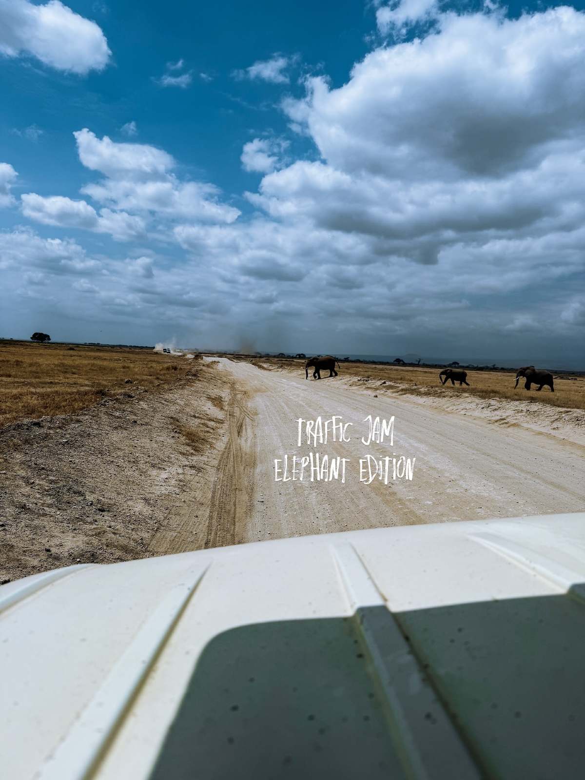 Αθηνά Οικονομάκου - Μπρούνο Τσερέλα: Έκαναν σαφάρι στην Αφρική - (Φωτογραφίες και Βίντεο)