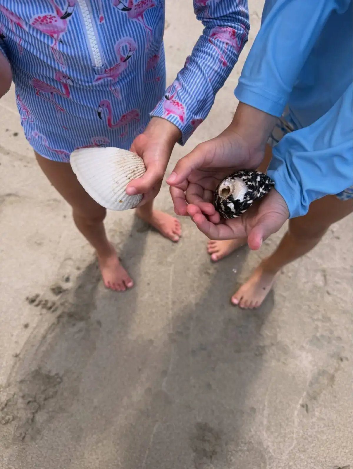 Τα παιδιά της Δούκισσας Νομικού με κοχύλια στα χέρια