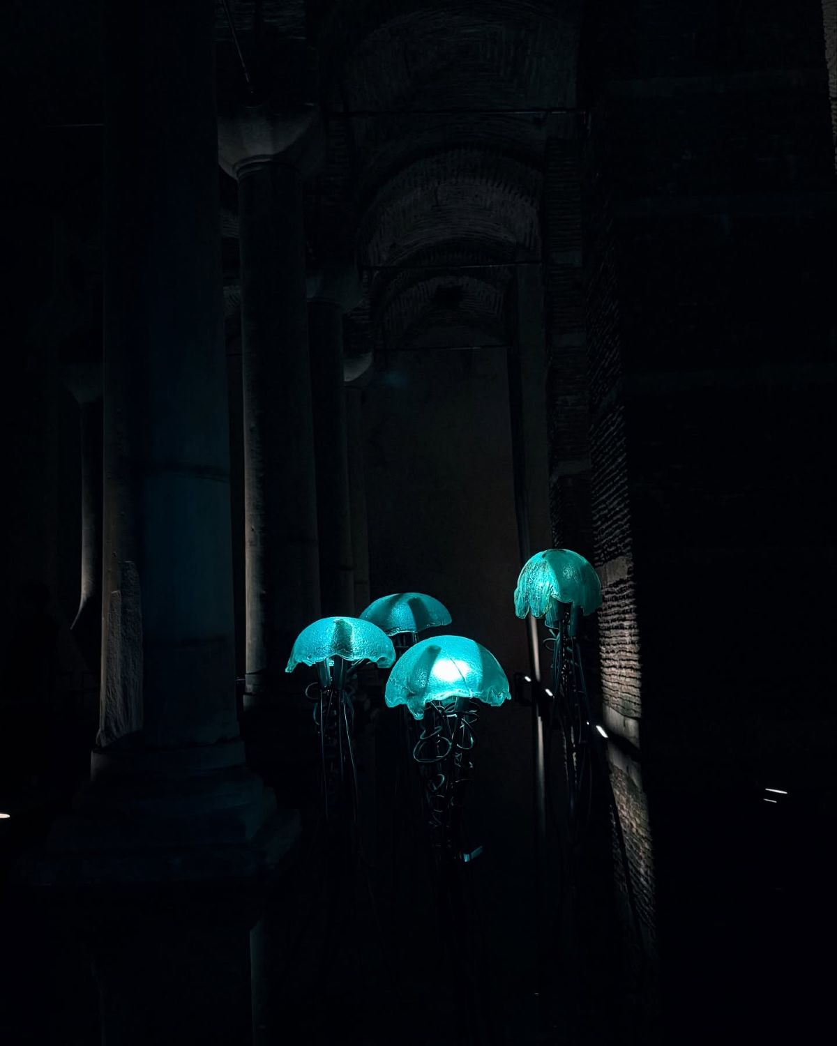 Παπαδημητρίου: Το φωτογραφικό άλμπουμ από το ταξίδι της με τον Γεροντιδάκη στην Τουρκία