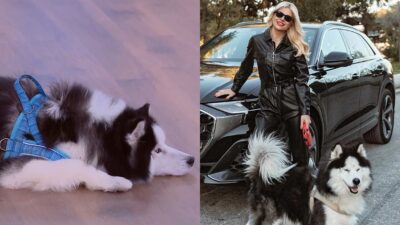 Η Φαίη Σκορδά με το σκυλάκι της