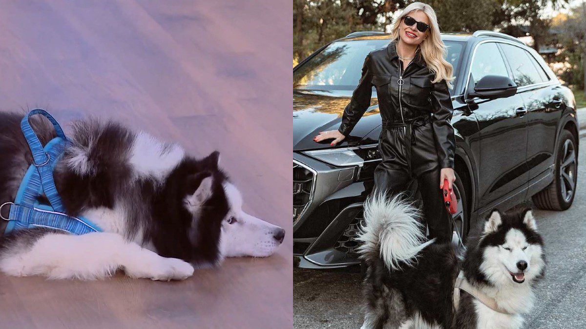 Η Φαίη Σκορδά με το σκυλάκι της