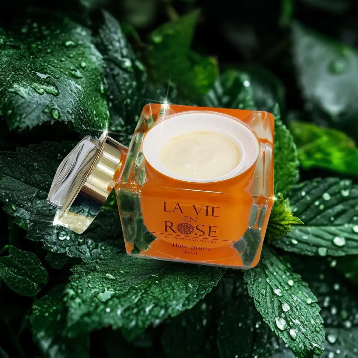 Η Tiger grass από La vie en rose