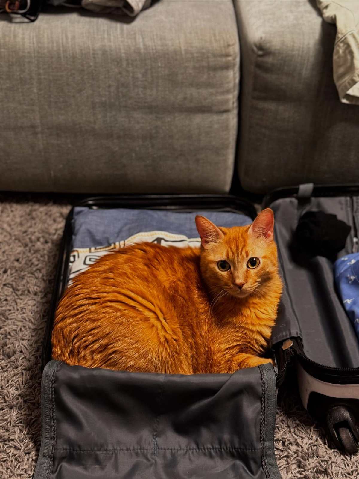 Πολύ δύσκολες στιγμές για την Άννα Μαρία Βέλλη: «Πονάω όσο δεν φανταζόμουν ποτέ»