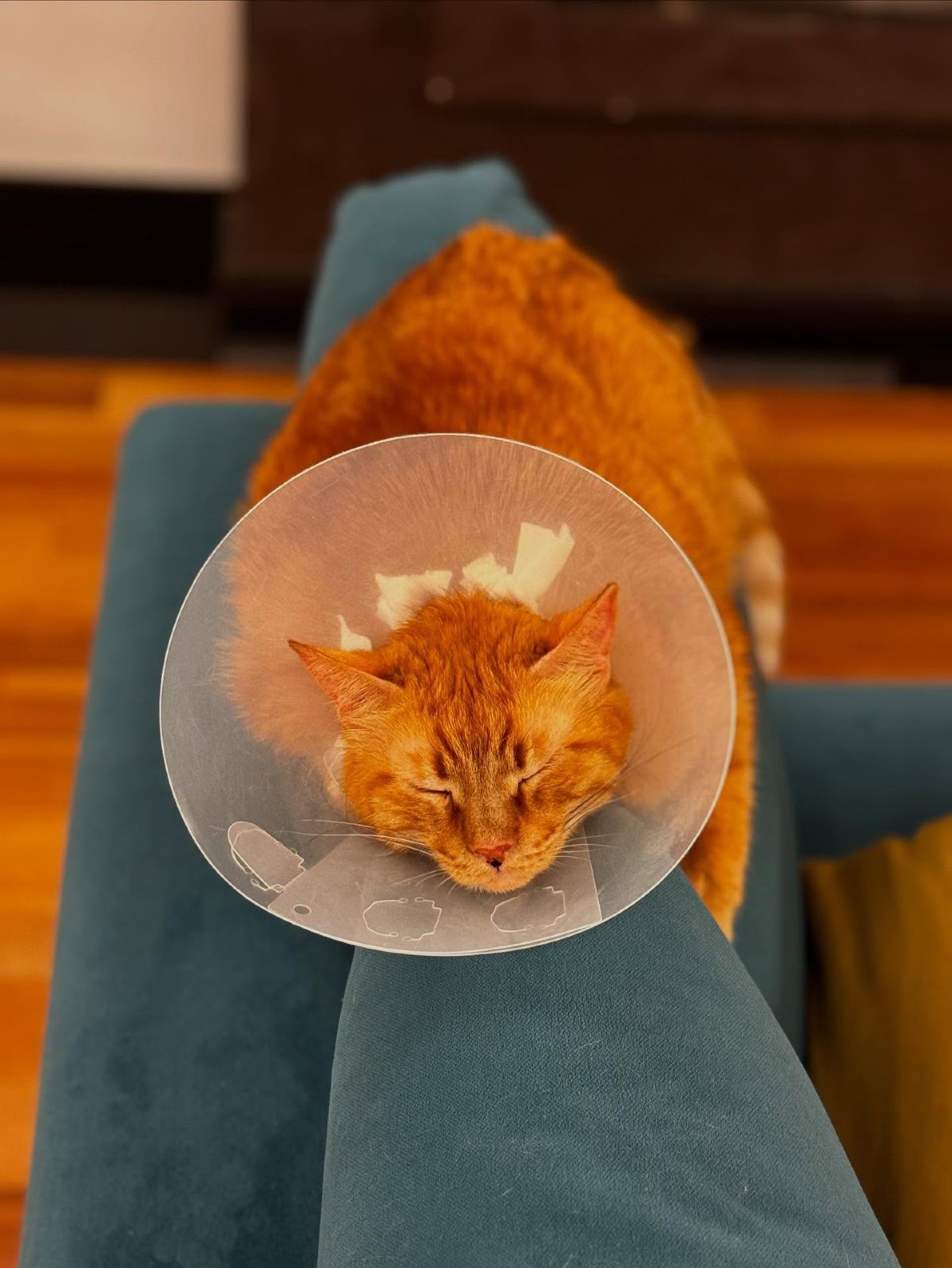 Πολύ δύσκολες στιγμές για την Άννα Μαρία Βέλλη: «Πονάω όσο δεν φανταζόμουν ποτέ»