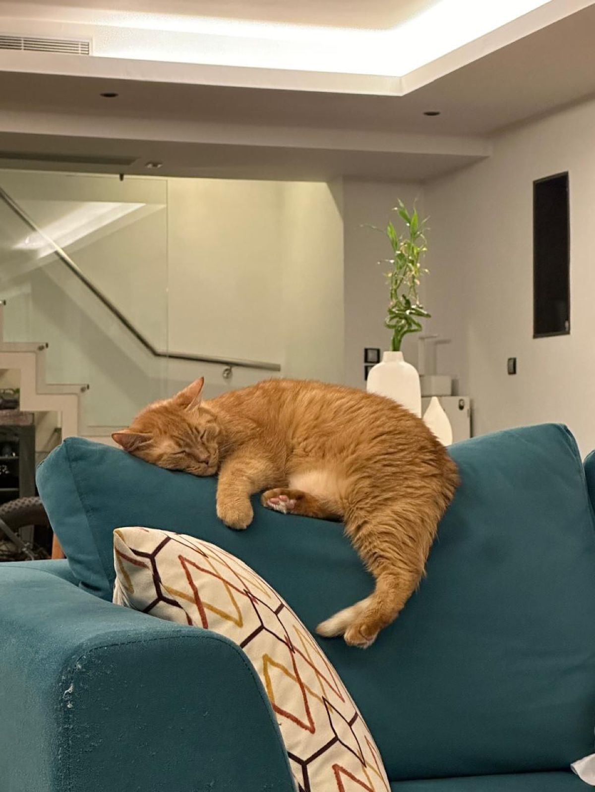 Πολύ δύσκολες στιγμές για την Άννα Μαρία Βέλλη: «Πονάω όσο δεν φανταζόμουν ποτέ»