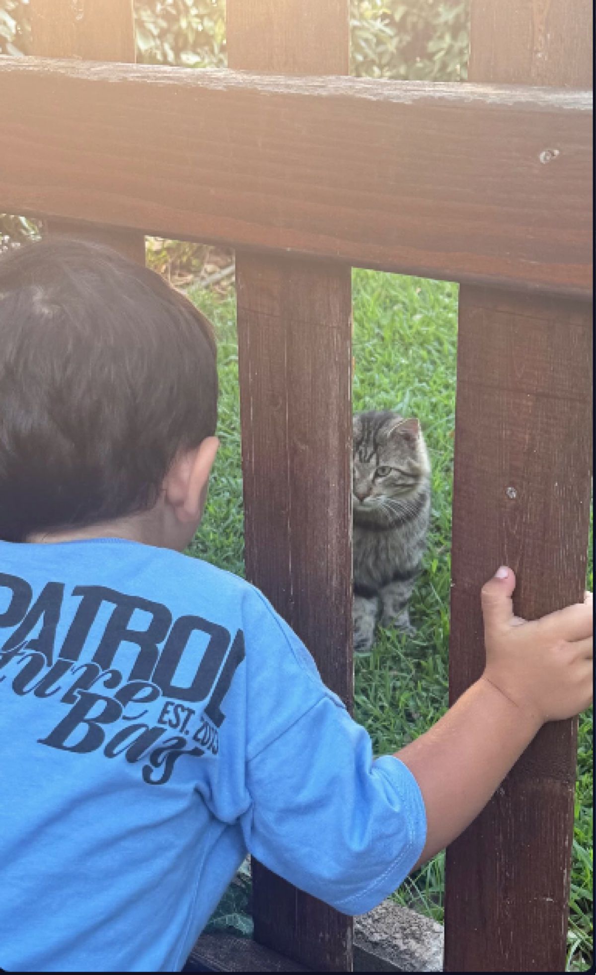 Ο γιος του Λεωνίδα Κουτσόπουλου στα γυρίσματα της Φάρμας