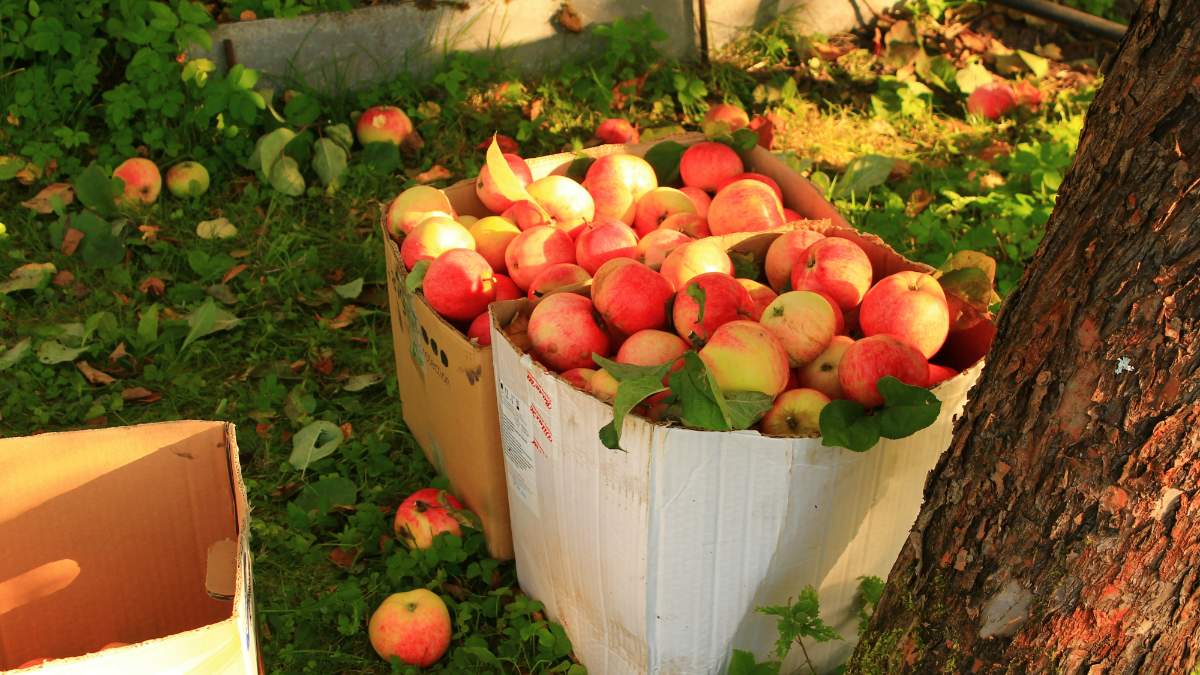 Εορτολόγιο