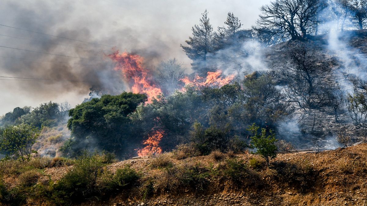 Φωτιά στην Αχαΐα