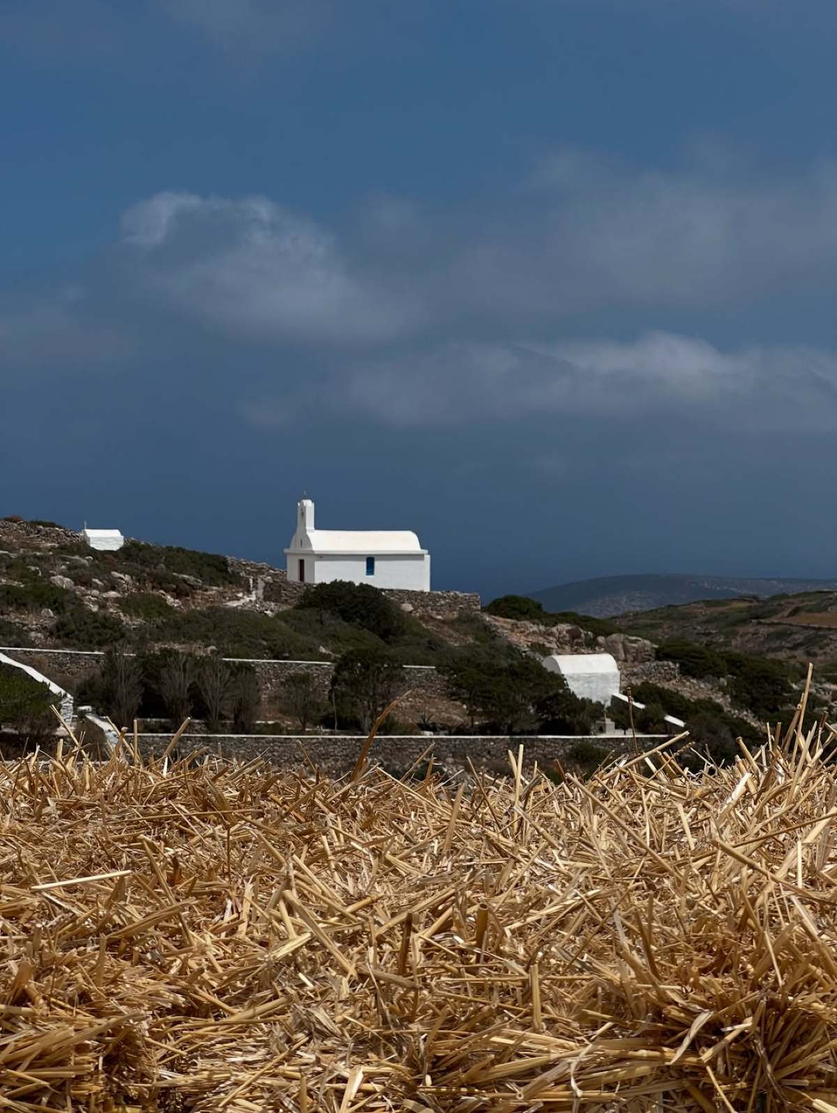 Η Δανάη Μιχαλάκη στο Instagram