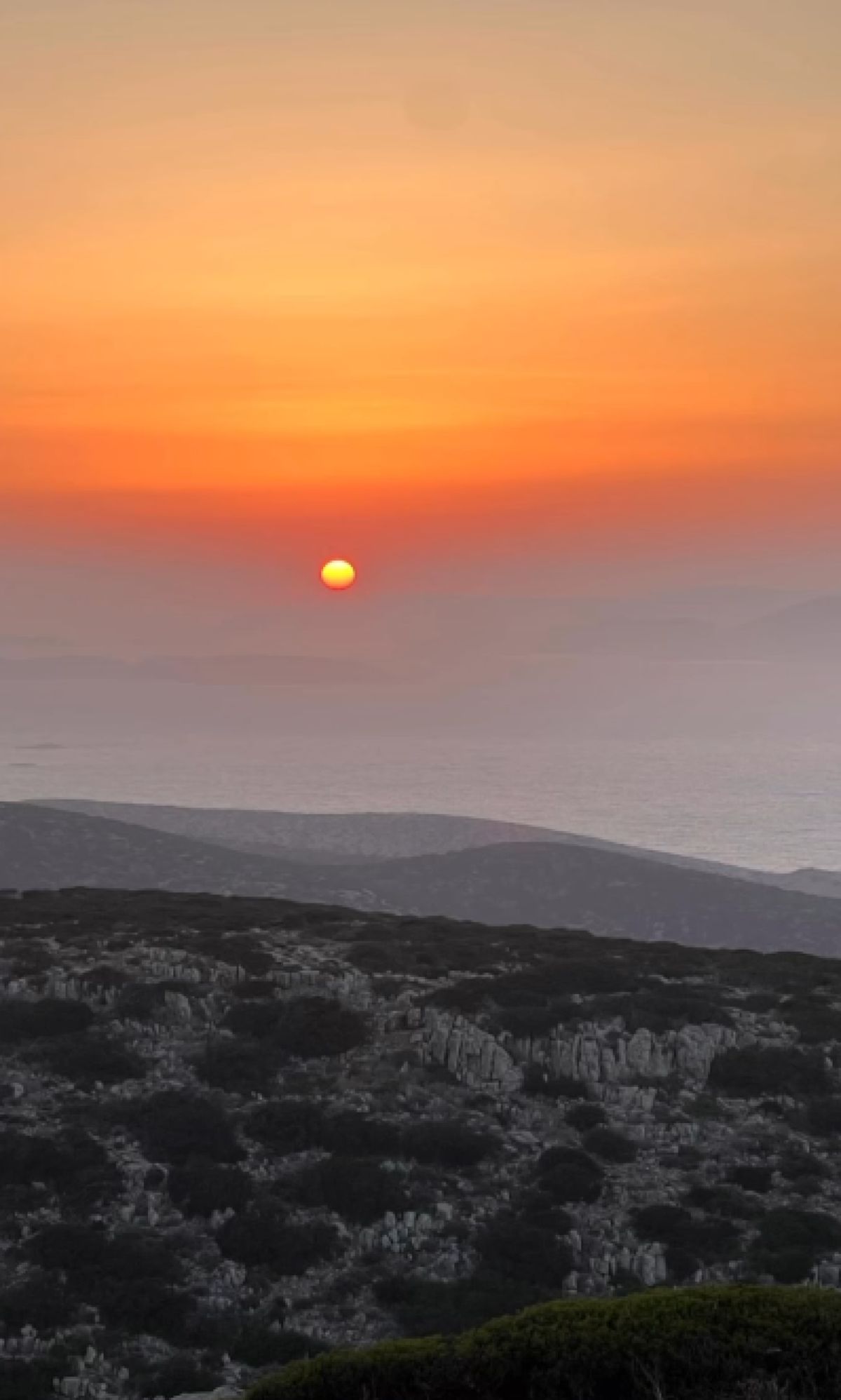 Η ανάρτηση της Δανάης Μιχαλάκη στο Instagram
