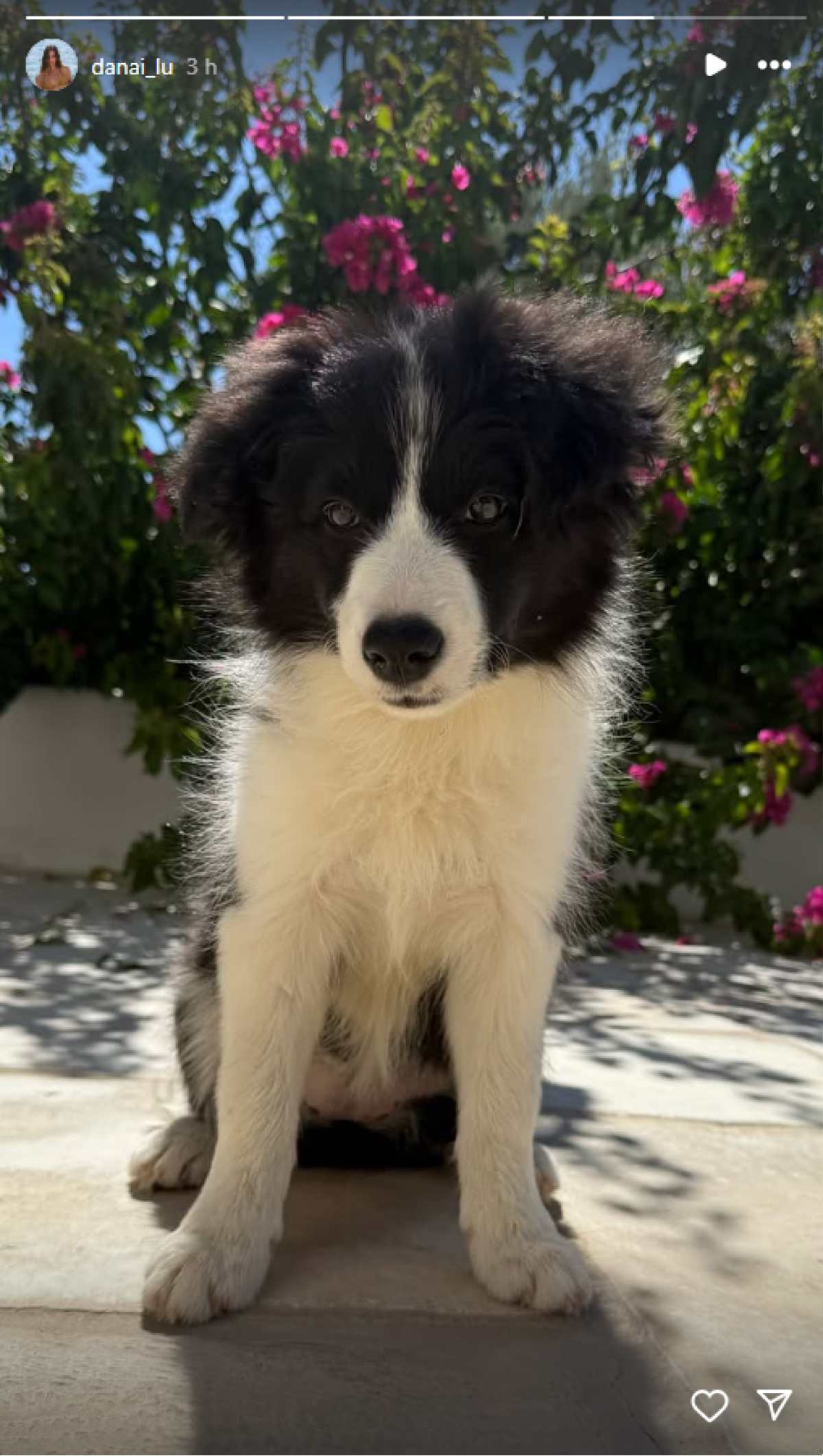 Η ανάρτηση της Δανάης Βαρθολομάτου στο Instagram