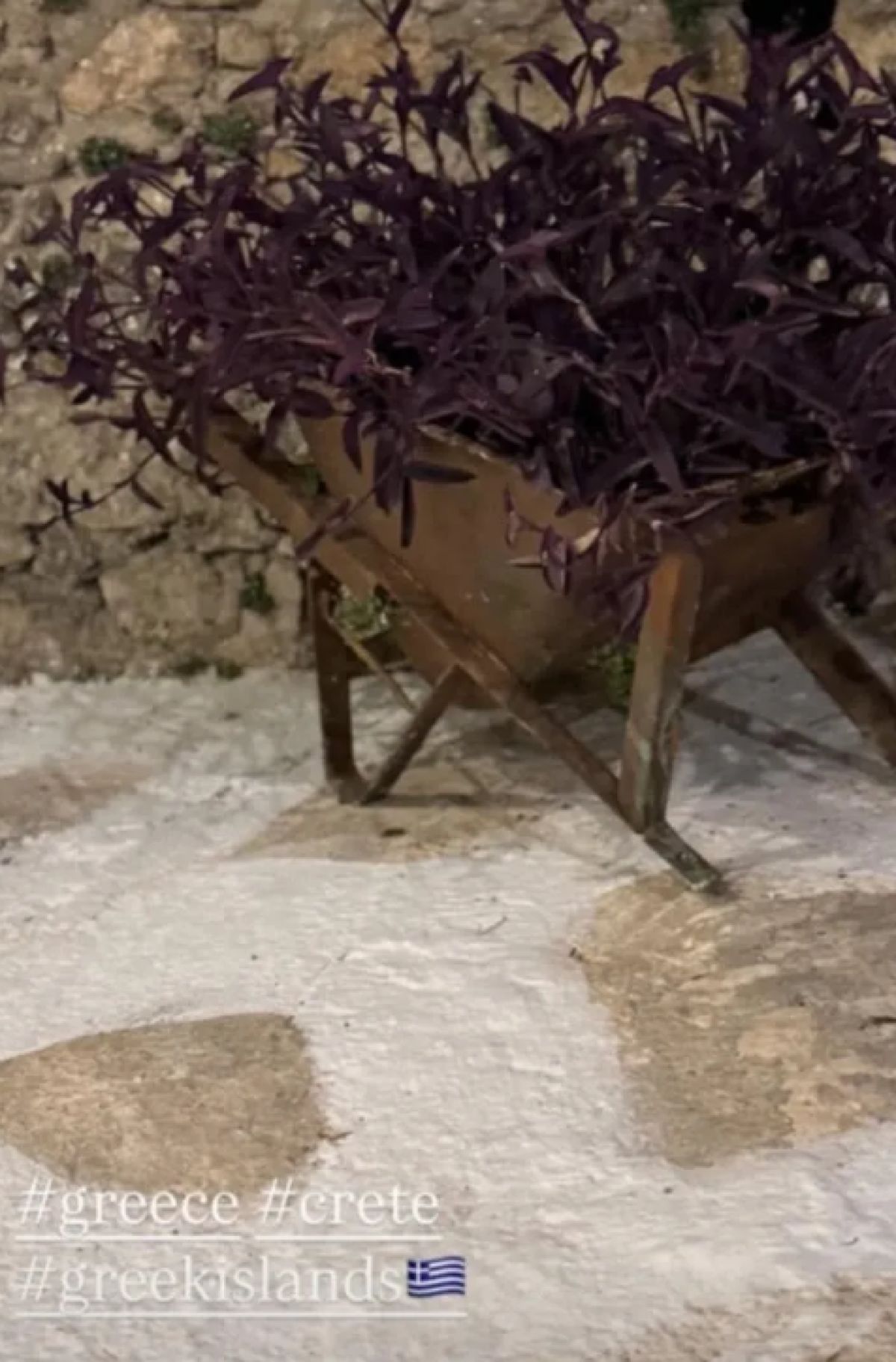 Ο Βασίλης Μπισμπίκης και η Δέσποινα Βανδή στο Instagram