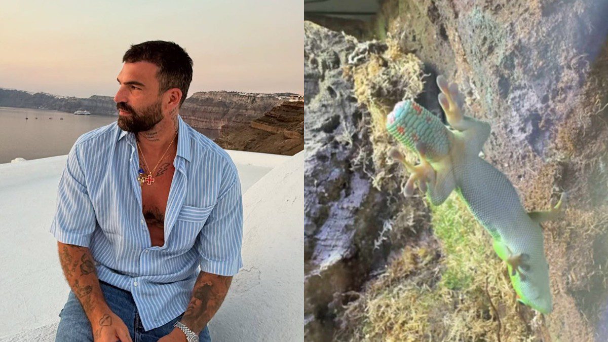 Ο Δημήτρης Αλεξάνδρου με τη σαύρα που έχει στο σπίτι του