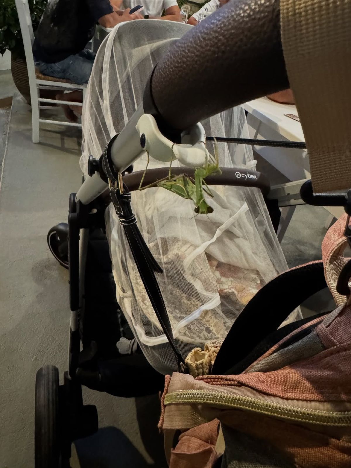 Η Ελένη Χαμπέρη στο Instagram