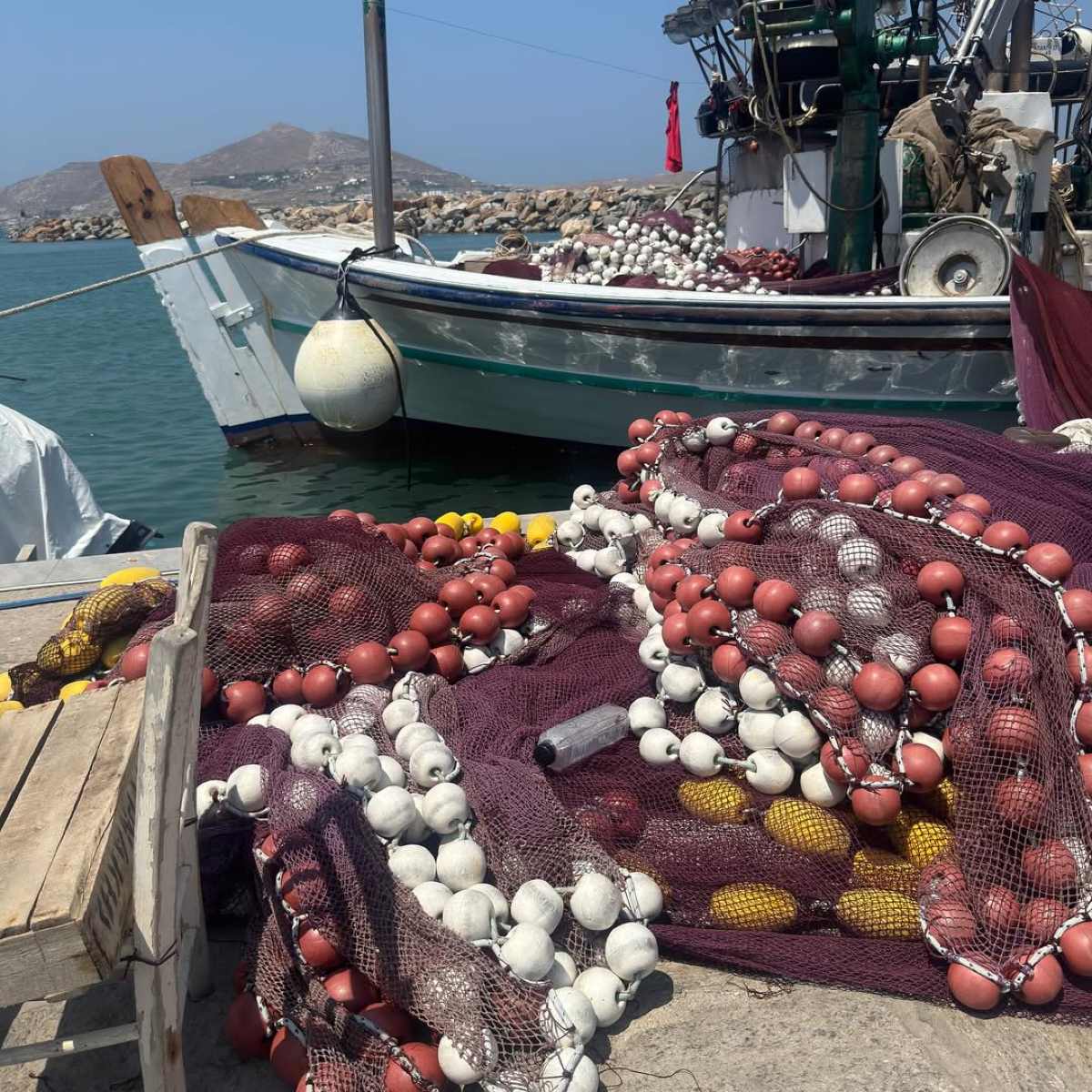 Η ανάρτηση της Ελπίδας Ιακωβίδου στο Instagram