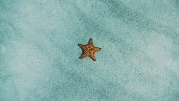 Εορτολόγιο