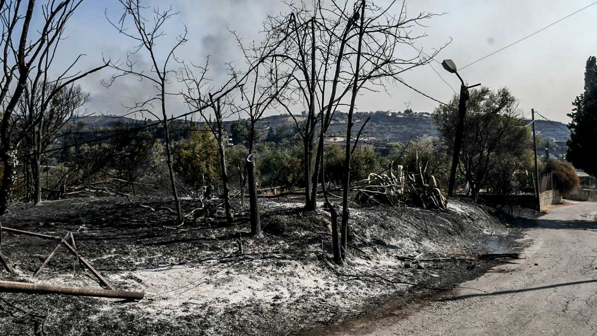 Φωτιά Αχαΐα