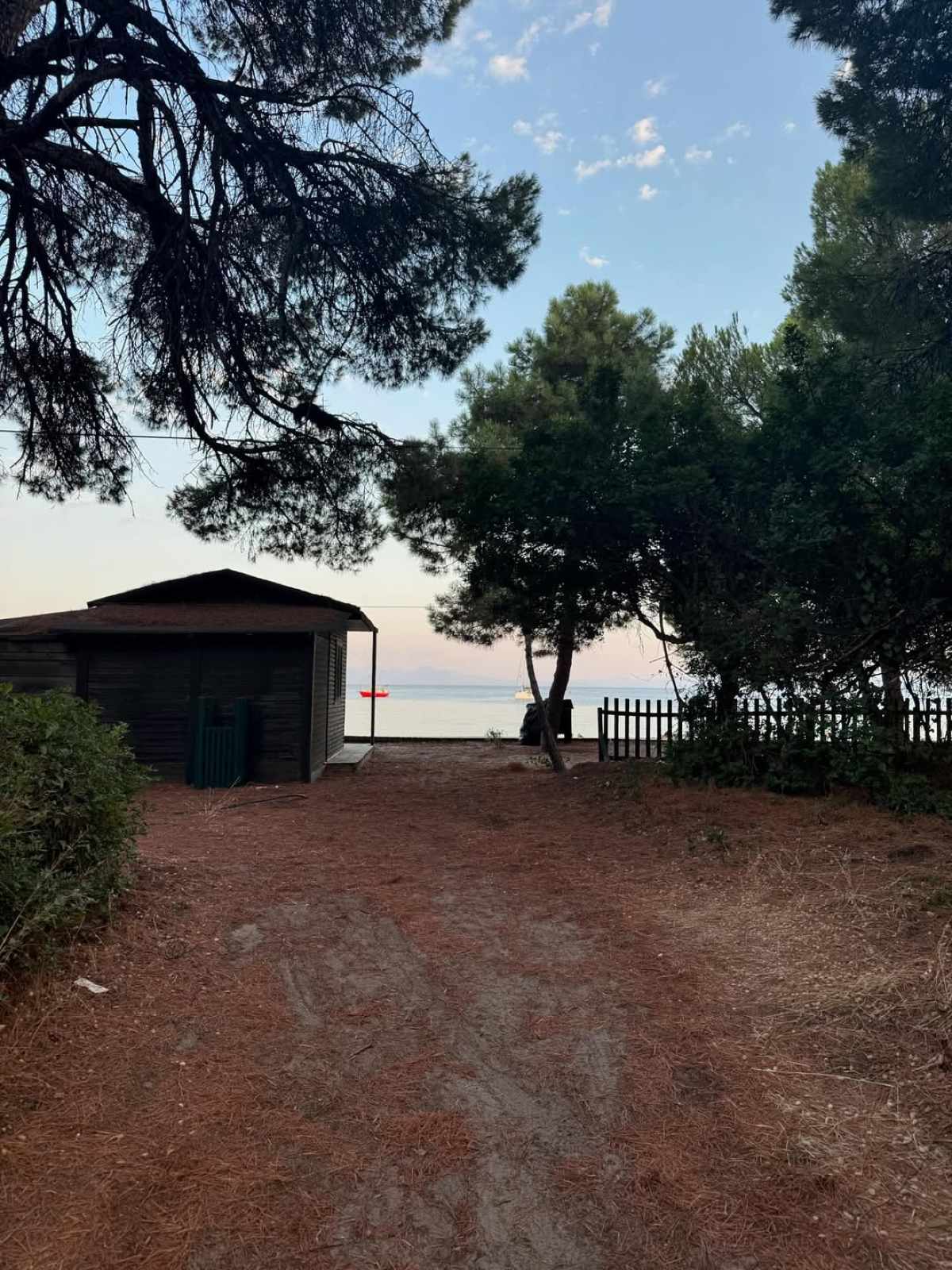 Ο Γιώργος Αγγελόπουλοε στο Instagram