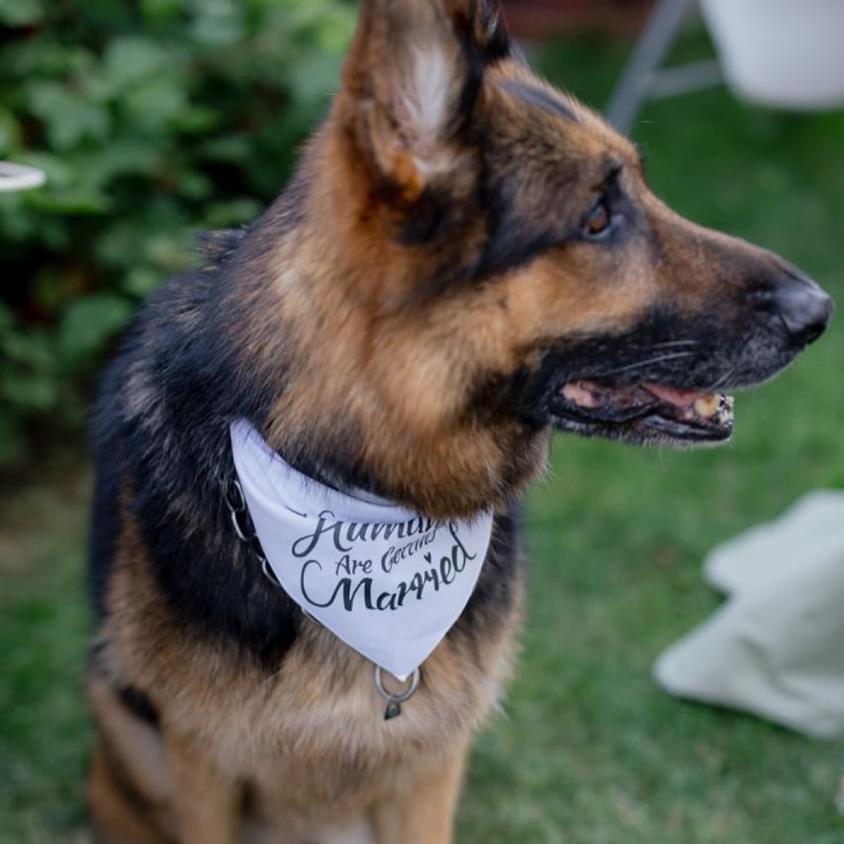 Τζώνη Καλημέρης - Ελπίδα Ιακωβίδου: Οι πρώτες φωτογραφίες από τον μήνα του μέλιτος στην Πάρο