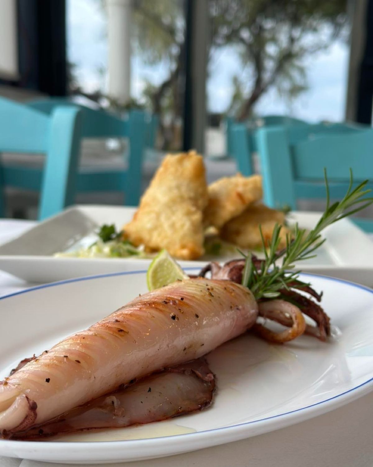 καλαμάρι Ψαραδείσι