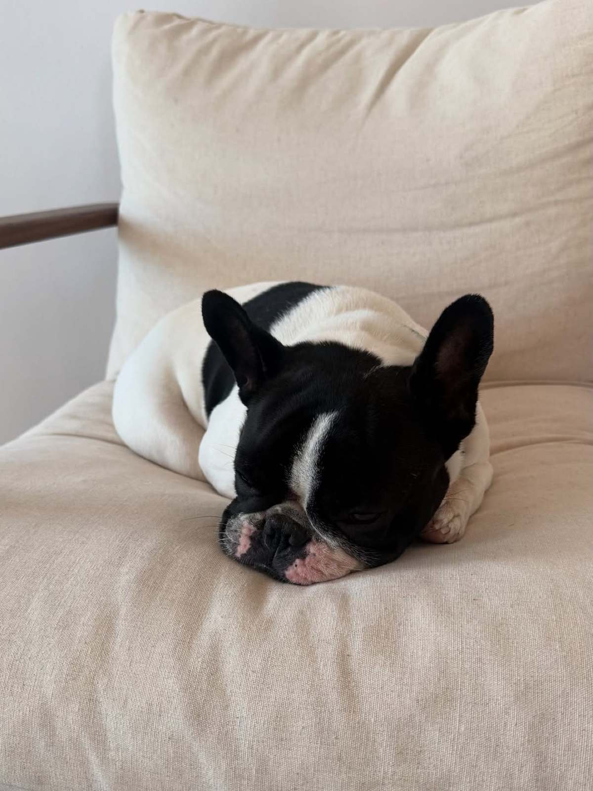 Η ανάρτηση της Κατερίνας Καινούργιου στο Instagram