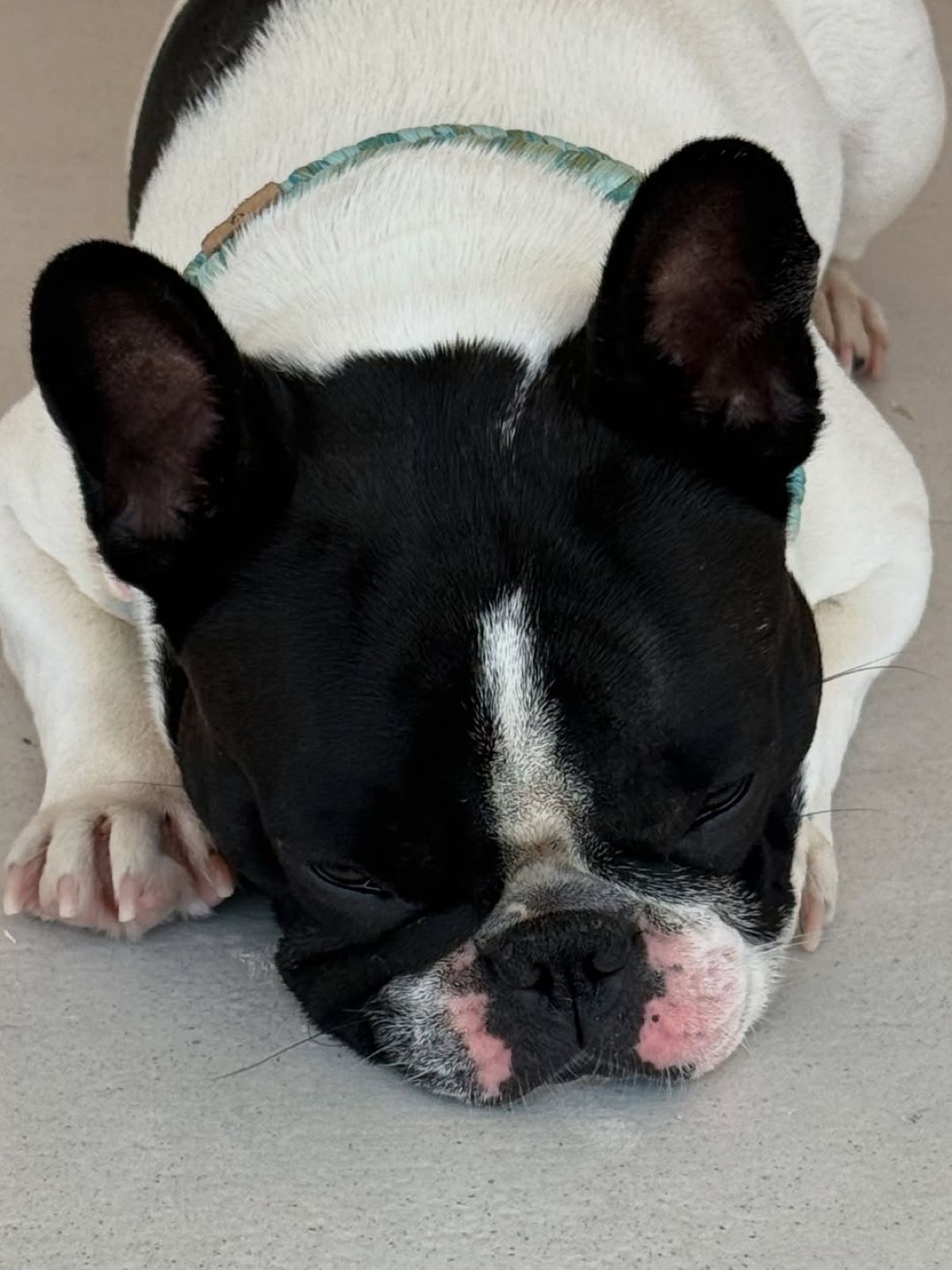 Η ανάρτηση της Κατερίνας Καινούργιου στο Instagram