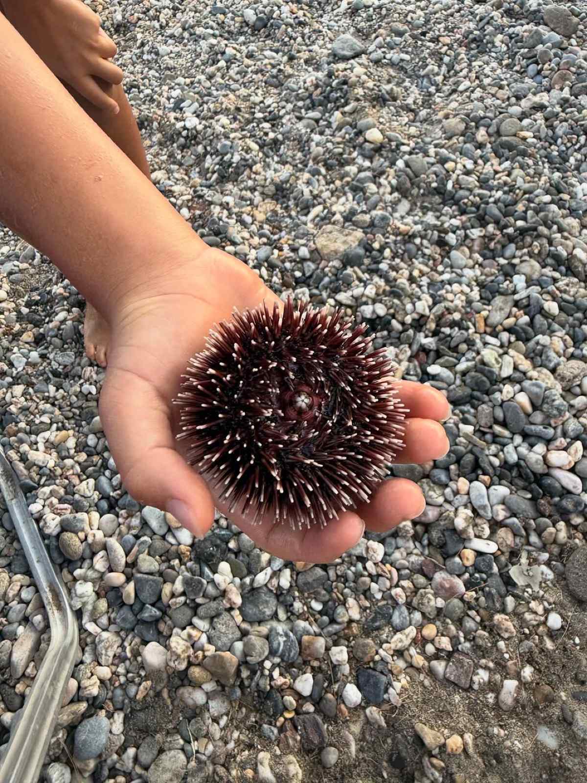 Η Κατερίνα Καραβάτου στο Instagram