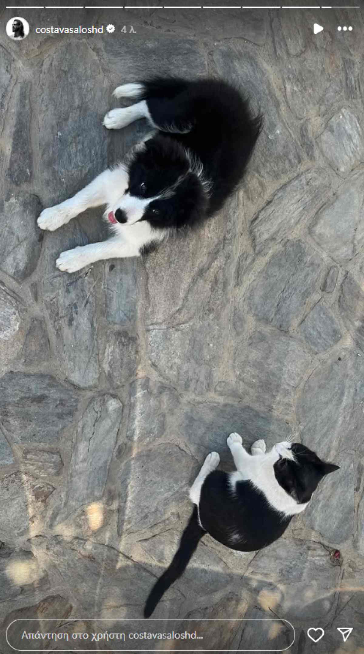 Η ανάρτηση του Κωνσταντίνου Βασάλου στο Instagram