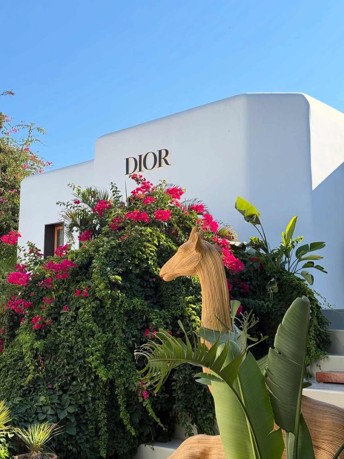 Η Μαριαλένα Ρουμελιώτη και ο Σάκης Κατσούλης στην Μύκονο